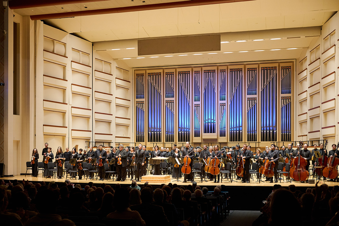 72dpi_ChristopherJamesLees-3