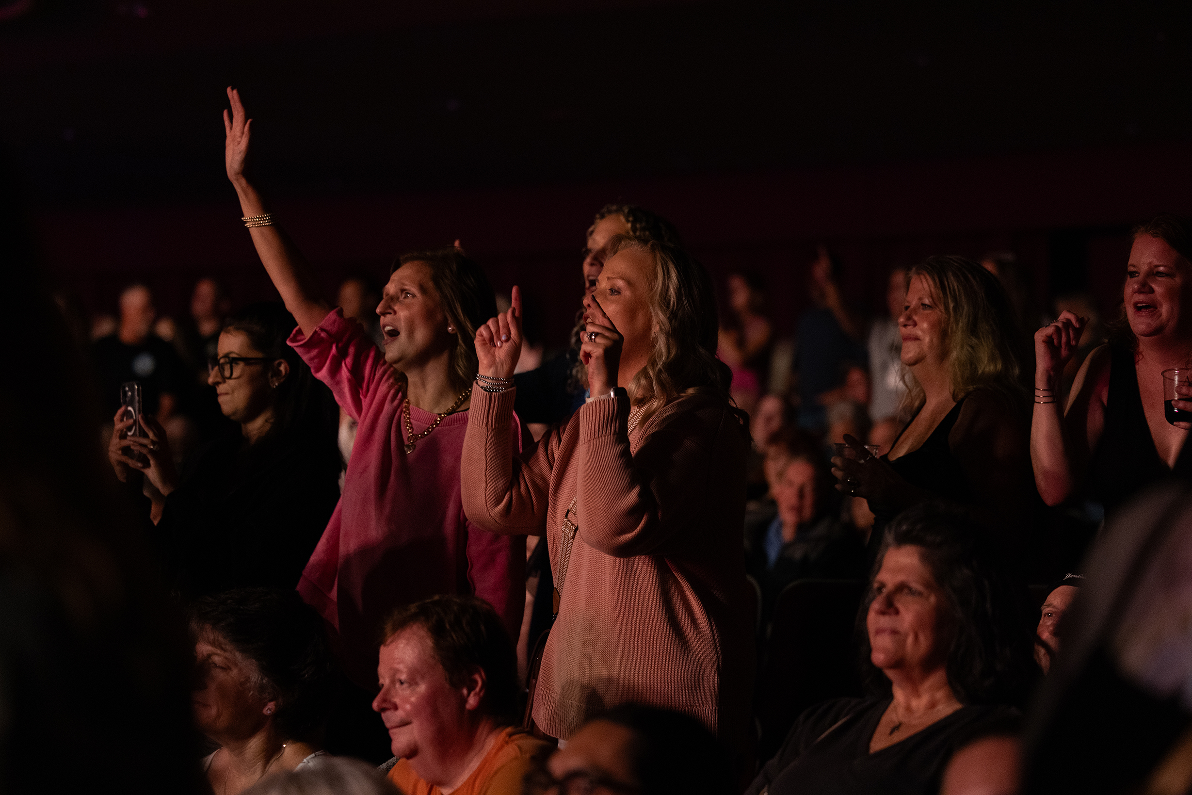 small_Rick Springfield audience